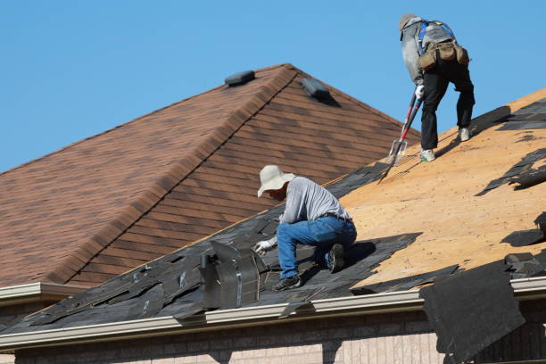 Best Roof Moss and Algae Removal  in Hopewell, VA