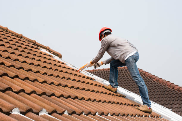 Best Roof Maintenance and Cleaning  in Hopewell, VA