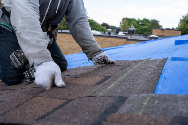 Best Solar Panel Roofing Installation  in Hopewell, VA
